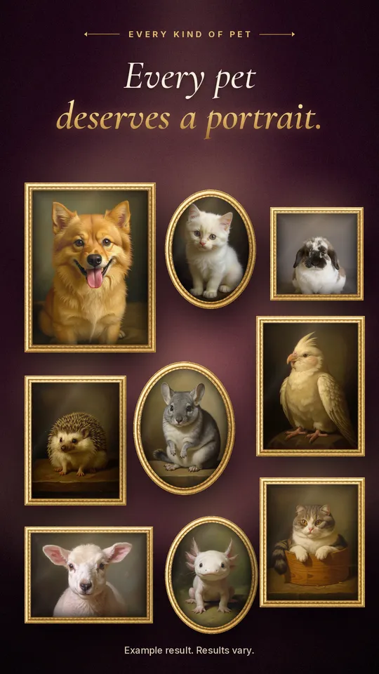 A wall of gold-framed pet portraits: dogs, cats, birds, a chinchilla and a lamb